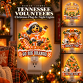 TVF Christmas Plug-In Night Light Set TMH